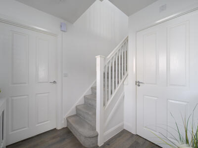 Picture 11